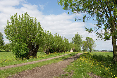 BUITEN BEELD Foto: 256281