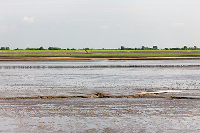 BUITEN BEELD Foto: 256282