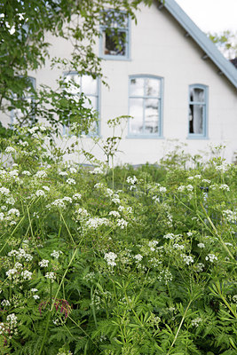 BUITEN BEELD Foto: 256302