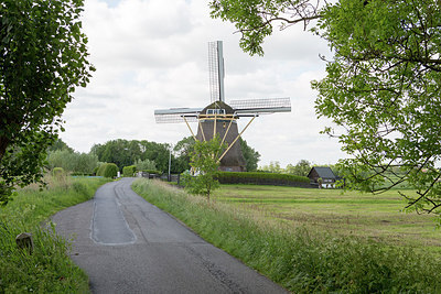 BUITEN BEELD Foto: 256305