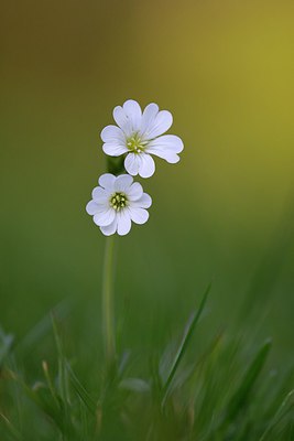 BUITEN BEELD Foto: 256319