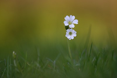 BUITEN BEELD Foto: 256320