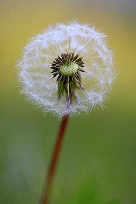BUITEN BEELD Foto: 256354