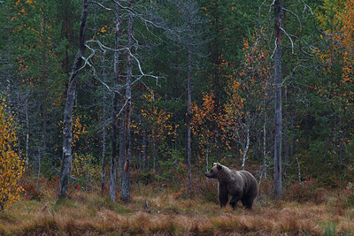 BUITEN BEELD Foto: 256395