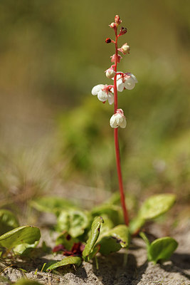 BUITEN BEELD Foto: 256407