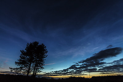 BUITEN BEELD Foto: 256413