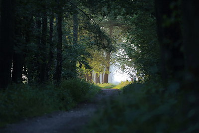 BUITEN BEELD Foto: 256559