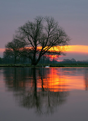 BUITEN BEELD Foto: 256720