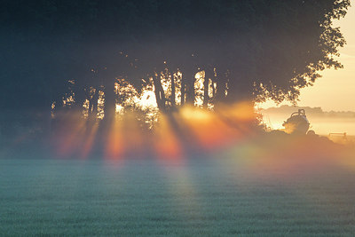 BUITEN BEELD Foto: 256775