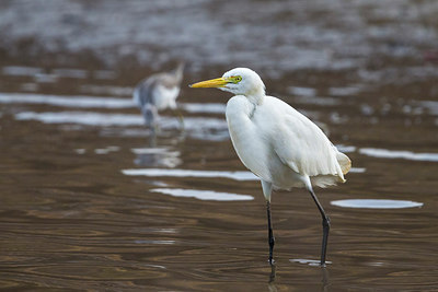 BUITEN BEELD Foto: 257009