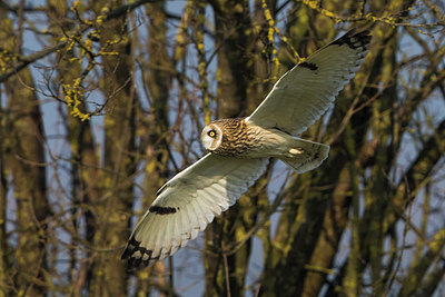 BUITEN BEELD Foto: 257165