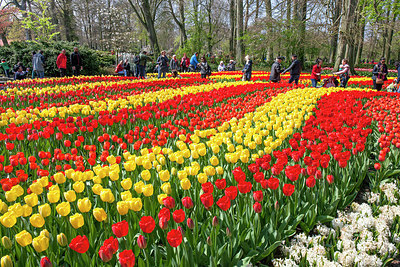 BUITEN BEELD Foto: 257343