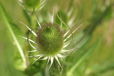 BUITEN BEELD Foto: 257398