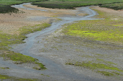 BUITEN BEELD Foto: 257415