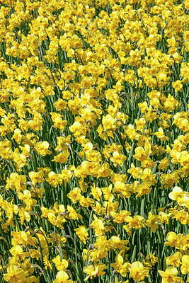 BUITEN BEELD Foto: 257478