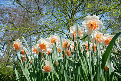 BUITEN BEELD Foto: 257483