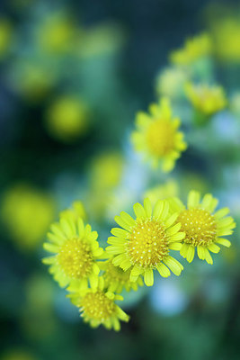 BUITEN BEELD Foto: 257515