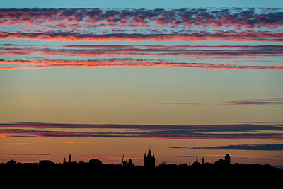 BUITEN BEELD Foto: 257547