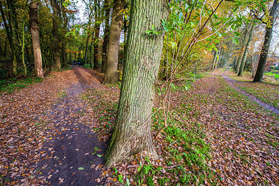 BUITEN BEELD Foto: 257553