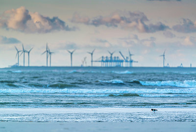 BUITEN BEELD Foto: 257576