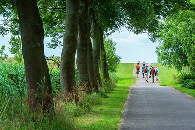 BUITEN BEELD Foto: 257584