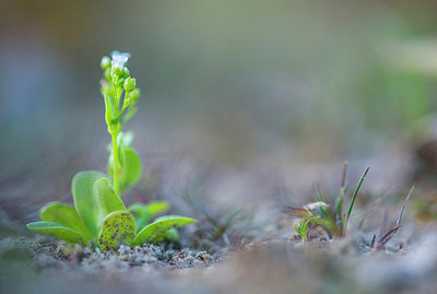 BUITEN BEELD Foto: 257600
