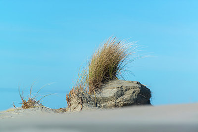 BUITEN BEELD Foto: 257605