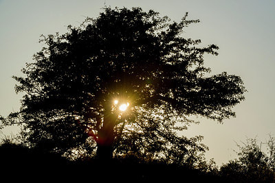 BUITEN BEELD Foto: 257609
