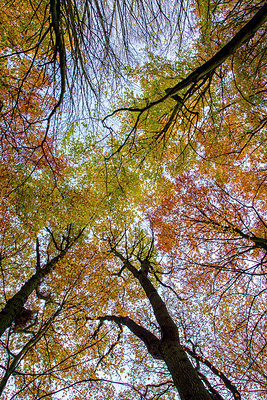 BUITEN BEELD Foto: 257646
