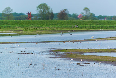 BUITEN BEELD Foto: 257649