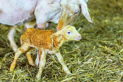 BUITEN BEELD Foto: 257753
