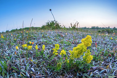 BUITEN BEELD Foto: 257808