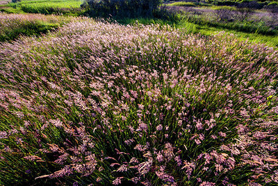 BUITEN BEELD Foto: 257811