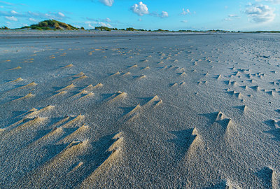 BUITEN BEELD Foto: 257838