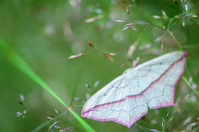 BUITEN BEELD Foto: 257862