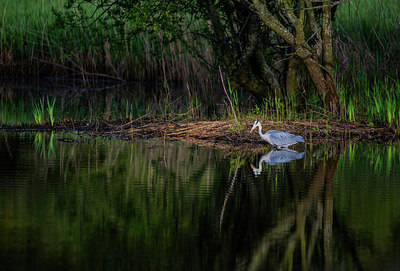 BUITEN BEELD Foto: 257995