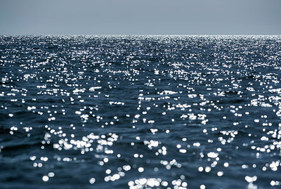 BUITEN BEELD Foto: 258095