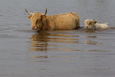 BUITEN BEELD Foto: 258133