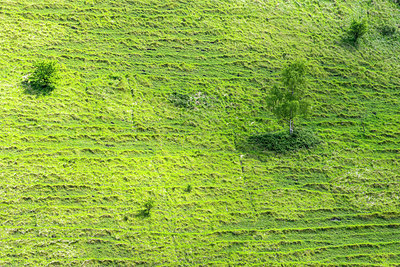 BUITEN BEELD Foto: 258181