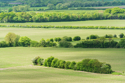 BUITEN BEELD Foto: 258198