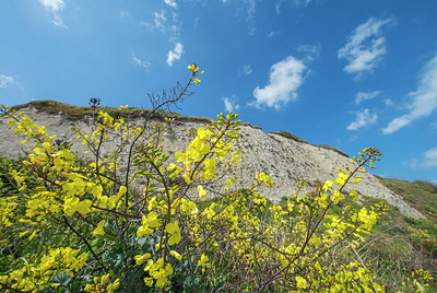 BUITEN BEELD Foto: 258328