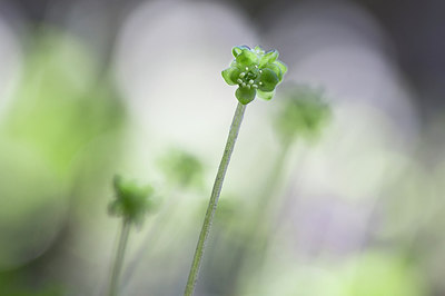 BUITEN BEELD Foto: 258377