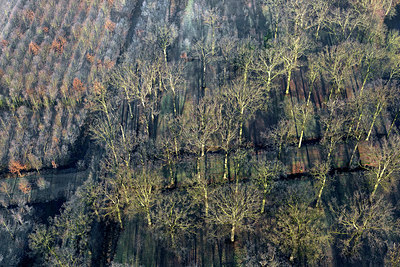 BUITEN BEELD Foto: 258435