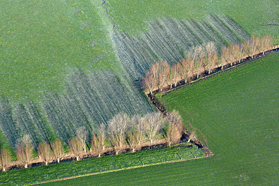 BUITEN BEELD Foto: 258453