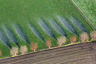 BUITEN BEELD Foto: 258458