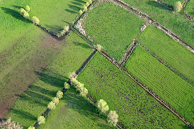 BUITEN BEELD Foto: 258654