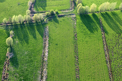BUITEN BEELD Foto: 258658