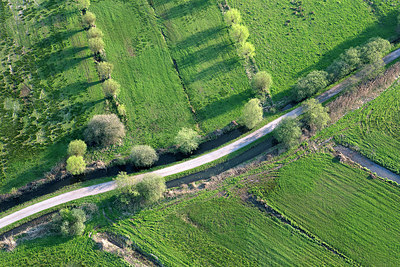 BUITEN BEELD Foto: 258677