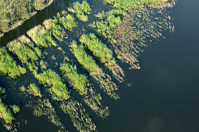 BUITEN BEELD Foto: 258688