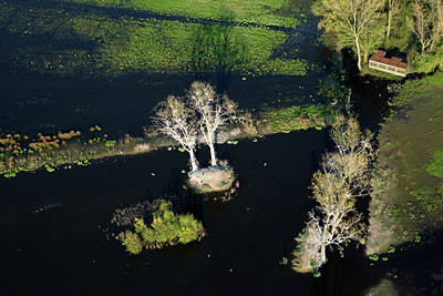 BUITEN BEELD Foto: 258689